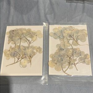 Pressed Hydrangea for crafting